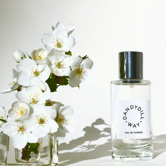 Natural perfume bottle with white blossom in glass vase